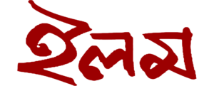 logo 01